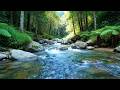 Sleep Without Stress – River Sound 8 Hours Forest – Calm Mind