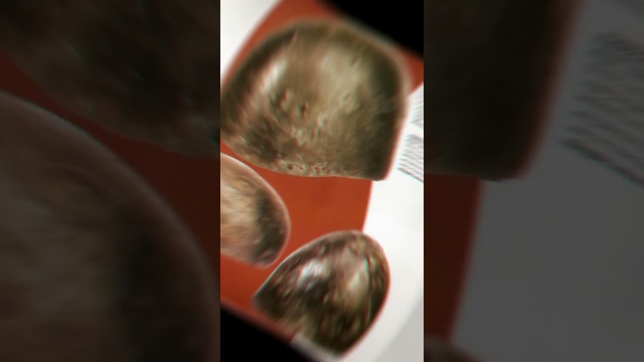 Сервельер Бацинет Черепник 