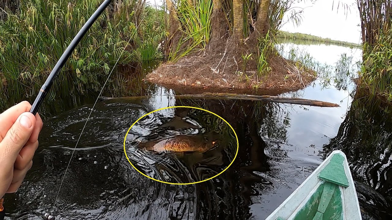TRAÍRAS INFINITAS NO RIO MAIS COBIÇADO DO MUNDO! CHEGA DAR MEDO DE ENCOSTAR NÁGUA. Pescaria.