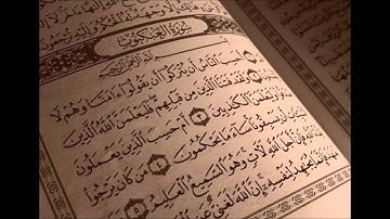 صوت جميل وهادئ- سورة العنكبوت -