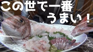 漁師しか食べれない幻の鯛料理食ってみた！＃５