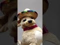 #AY #animals #trending #cute #wholesome #perros #dog #puppet #comedy #adorable #mexico #mexican #hat