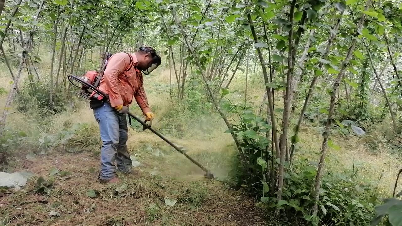 Stihl fr480& husqvarna 553rbx 2 - YouTube