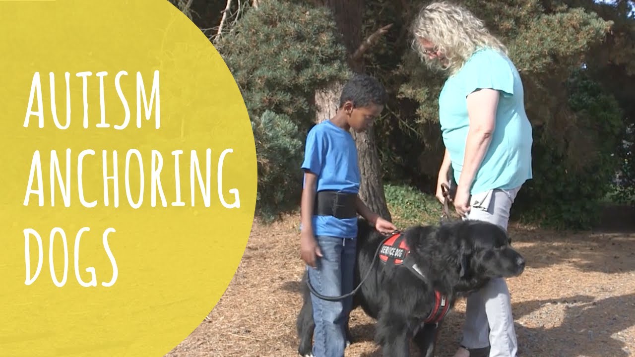 how to train a dog for autistic child