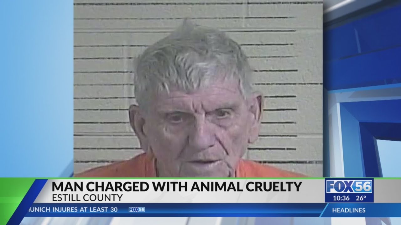Man charged with animal cruelty in Estill County - YouTube