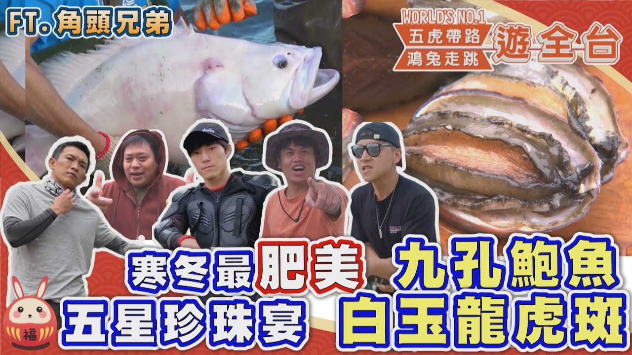 【五虎帶路 鴻兔走跳遊全台】寒冬限定 北海岸野生九孔肥鮑/超稀有白玉龍虎斑/花十萬買一個搏茭?/巨無霸黃金馬蹄蛤《世界第一等》2023兔年新春特輯 完整版