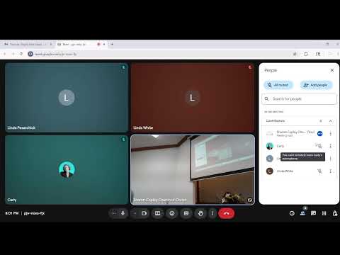 Video preview