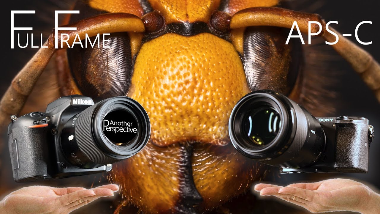 full frame sensor vs aps c full frame sensor vs aps c