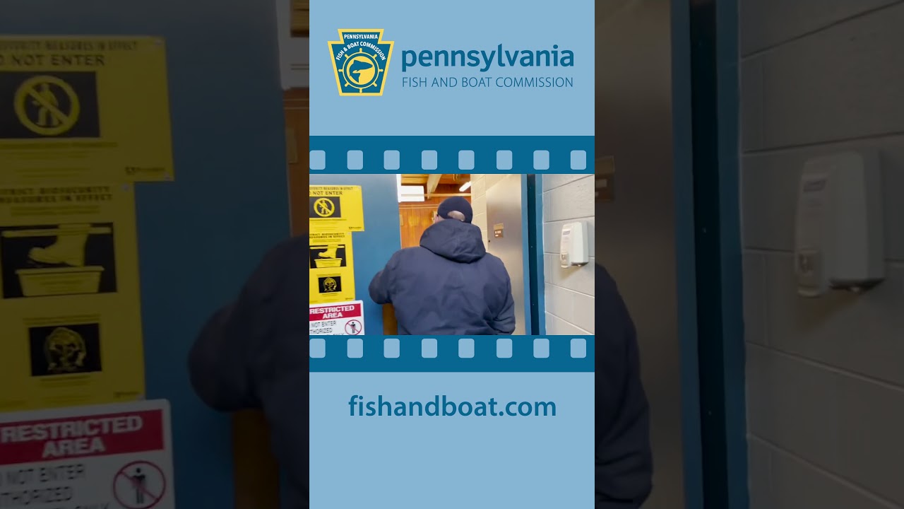 Fish Reels: Caring for Brown Trout at Oswayo Hatchery