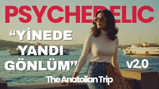 Yine De Yandı Gönlüm V2.0 Psychedelic Rock Cover The Anatolian Trip & Studio Resimi