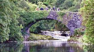 Vignette de la vidéo "The Irish Rovers, Some of Ireland's Lovely Sights North South East West And Also A Love Song"