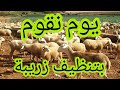 شهد كيف يتم تنضيف الكوري او زريبة Hoy Toca Limpiar El Corral