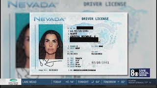 Las Vegas police: Fake nurse treated diabetic children
