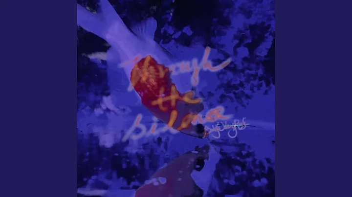 雾，沸腾 - 天天要闻