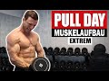 20 Min. PULL DAY Workout für Zuhause mit Kurzhanteln | Rücken, Bizeps - Sascha Huber