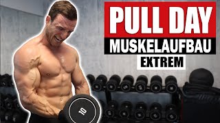 20 Min. Pull Day Workout Für Zuhause Mit Kurzhanteln | Rücken, Bizeps - Sascha Huber