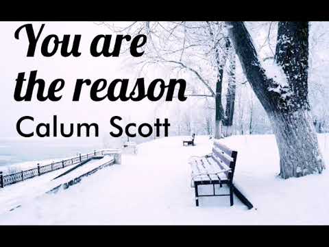 you-are-the-reason--calum-scott-lyrics