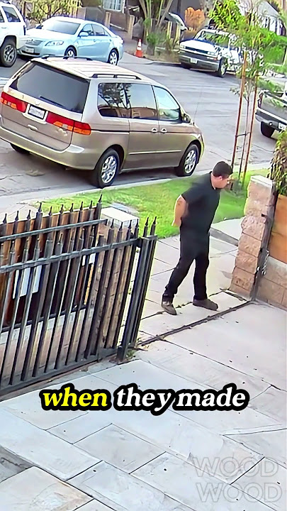 A kind neighbor helped bring the two dogs inside