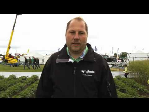 Video: Alternaria Planter