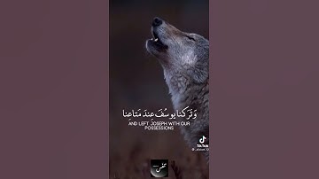 "قالوا يا آبانا إنا ذهبنا نستبق وتركنا يوسف عند متاعنا فأكله الذئب" سورة يوسف الآية17✓ إسلام صبحي 🤍💙