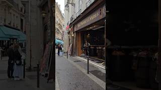 Exploring The Allure Of Saint-Michel A District In Paris Popular With Tourists