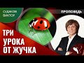 Виктор Судаков - Три урока от жучка