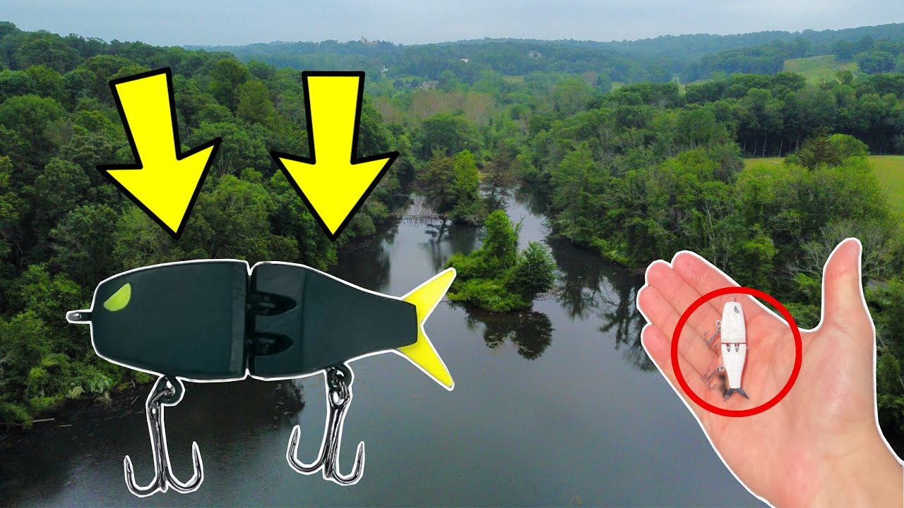 FISHING POND W/ MINI GLIDE BAIT FOR BIG BASS!