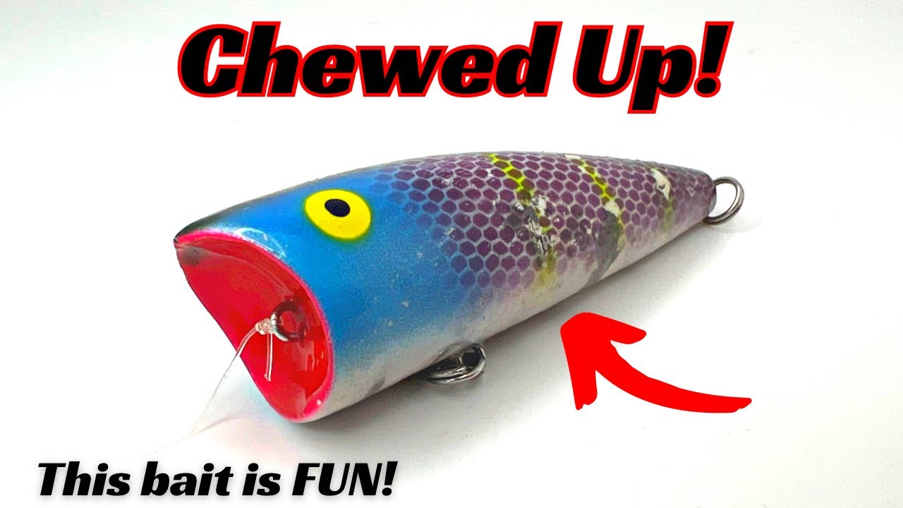 These Fishing Lures Catch The Snot Out Of Them And Are FUN To Fish With! 