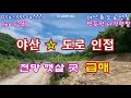 (no 528) 우뚝솟은 밭 급매 ! 야산&amp;도로 인접 🧡 건축 전기 ok 영천땅 영천촌집 영천토지 영천급매 영천주택 영천부동산 영천땅튜브