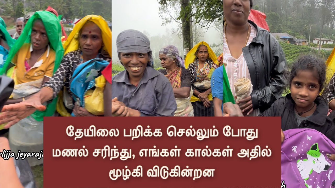 Когда мы идём собирать чай, песок осыпается, и наши ноги проваливаются в него.