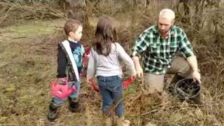 Dividing And Planting Comfrey