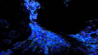 20101231大晦日2 004.avi