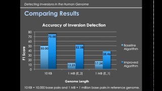 Algorithm to Find Inversions in the Human Genome