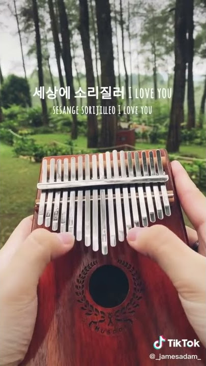 SS501 - Making A Lover  (Han/Rom/Eng) Color Coded Lyrics