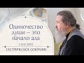 Почему человек никого не понимает и его не понимают? Сестрическое собрание с о. Андреем Лемешонком