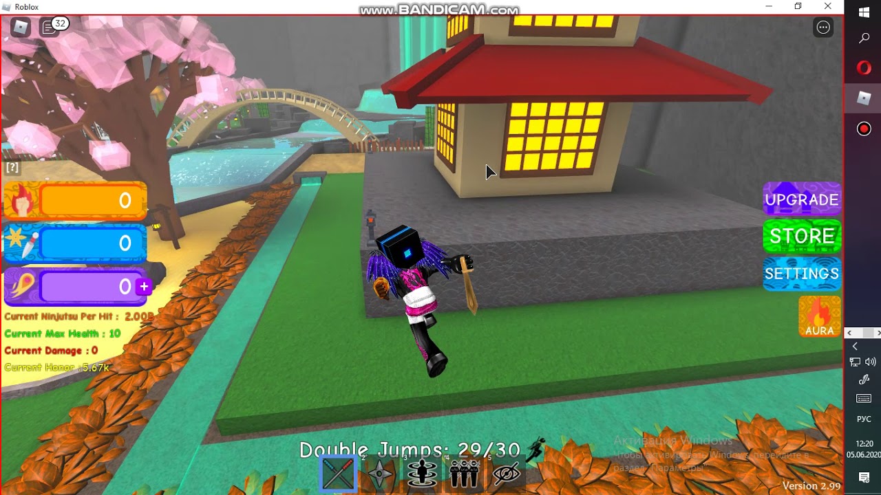 simas gamer playing ninja simulator