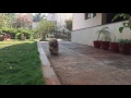 Mother lhasa apso playing with her puppies - Muffin Gang