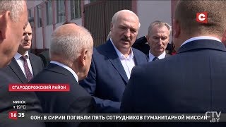 Лукашенко - Анфимову: Ты ответишь за лес... Визит Президента в Старые Дороги