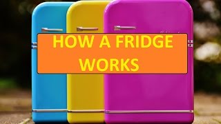 How a fridge works