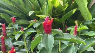 nature beauty | God kindness | soft background music | abby activities | beautiful nature screenshot 2
