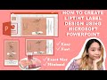 HOW TO CREATE LIPTINT LABEL DESIGN USING MS POWERPOINT | Philippines (2021)