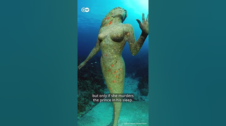 The REAL story of "The Little Mermaid" #shorts #thelittlemermaid #disney #hallebailey