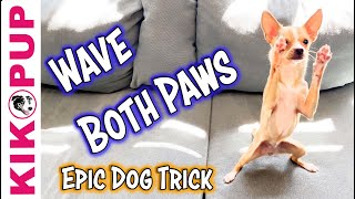 Wave BOTH paws  Advanced Dog Trick Tutorial