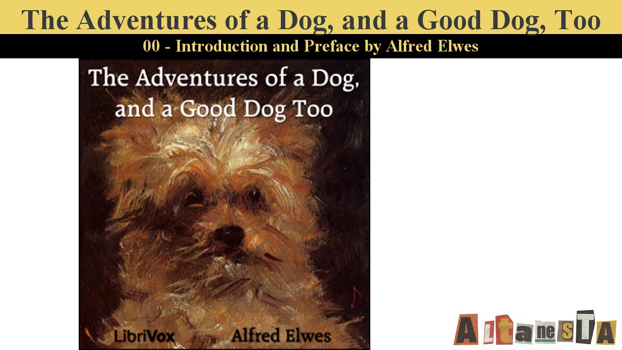 The Adventures of a Dog, and a Good Dog Too - YouTube