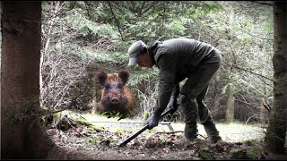 КАБАНЫ РАСТАЩИЛИ ПОЛНЫЙ КОШЕЛЬ СЕРЕБРА, Я ФИГЕЮ!