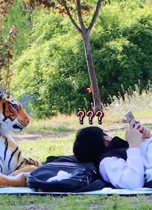 Tiger prank in Korea # korean prank