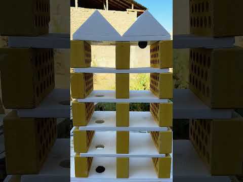 Perfectly satisfying Video #satisfyling #asmr #relaxing