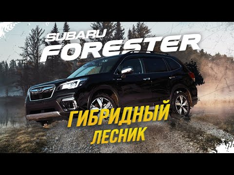 SUBARU FORESTER 🔥ГИБРИДНЫЙ ЛЕСНИК😱КОНЕЦ ЭПОХЕ ТУРБО-СУБАРУ!?