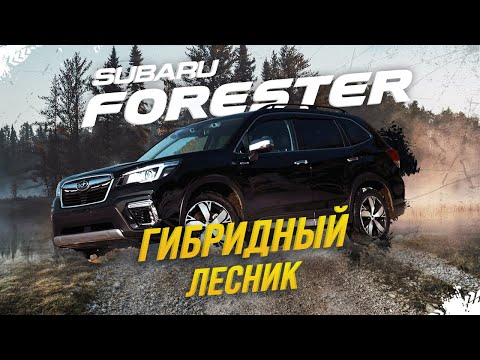 Видео: Subaru forester има ли седалки с памет?