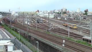 東海道本線1250列車（名古屋タ～半田埠頭）EF510-501